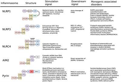 The Pyrin Inflammasome in Health and Disease